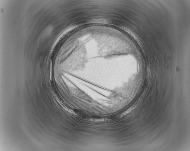 X0000085741123200704131638