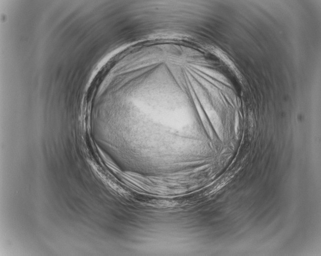 X0000085741124200704131638