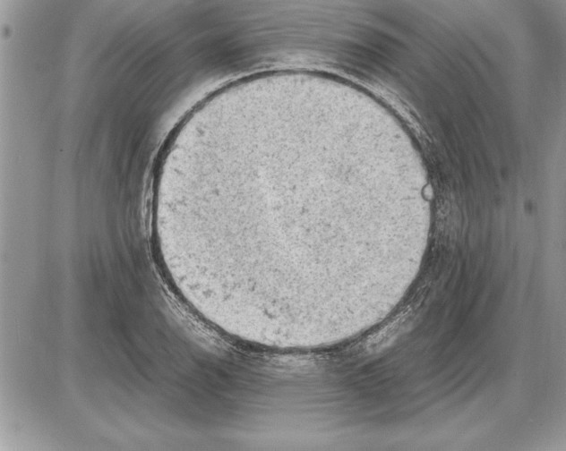 X0000085741126200704131638