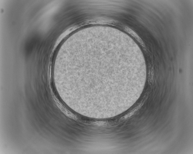 X0000085741130200704131638