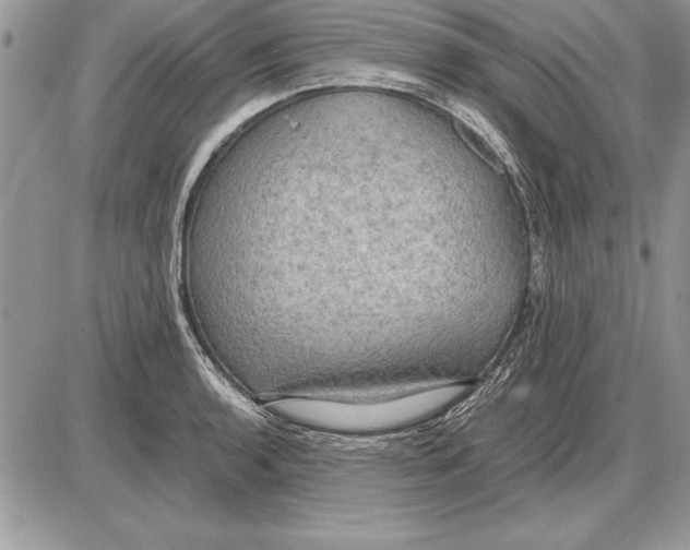 X0000085741136200704131638