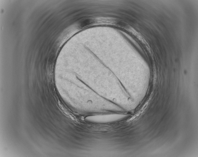 X0000085741137200704131638