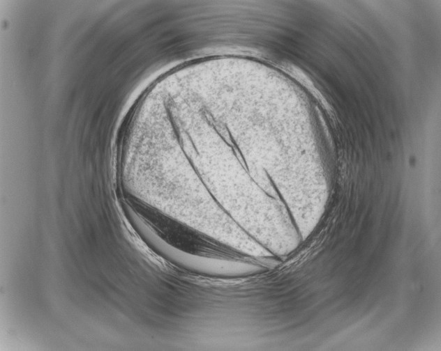 X0000085741140200704131638
