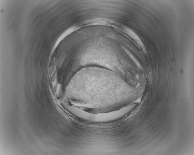 X0000085741146200704131638