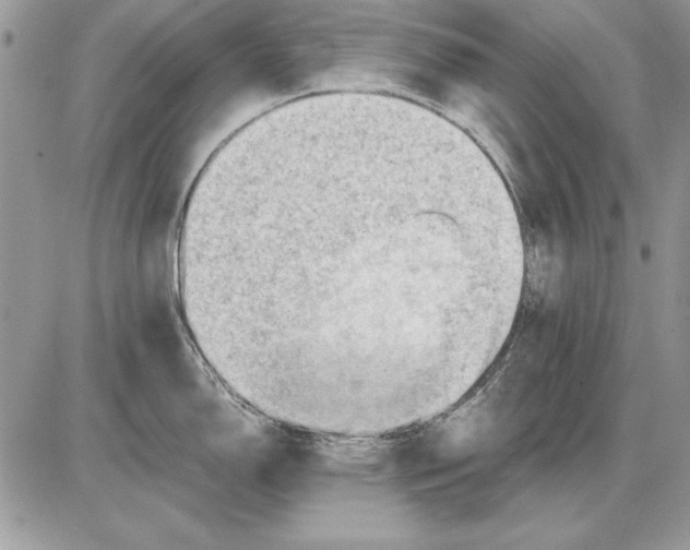 X0000085741150200704131638