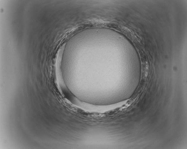 X0000085741157200704131637