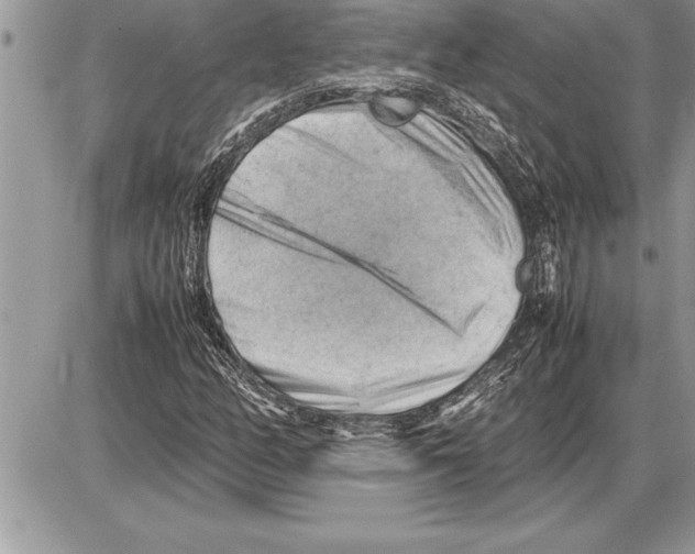 X0000085741158200704131637