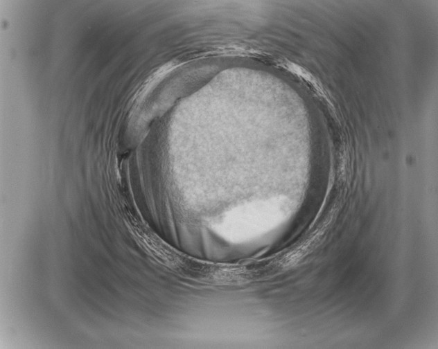 X0000085741161200704131637