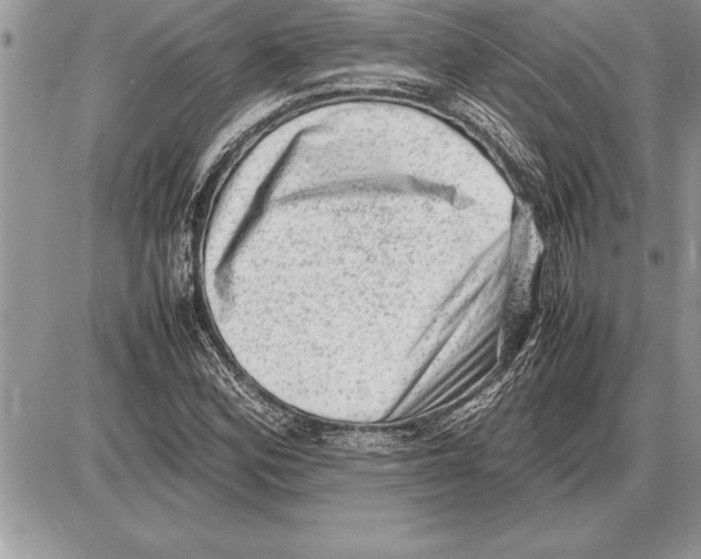 X0000085741164200704131637