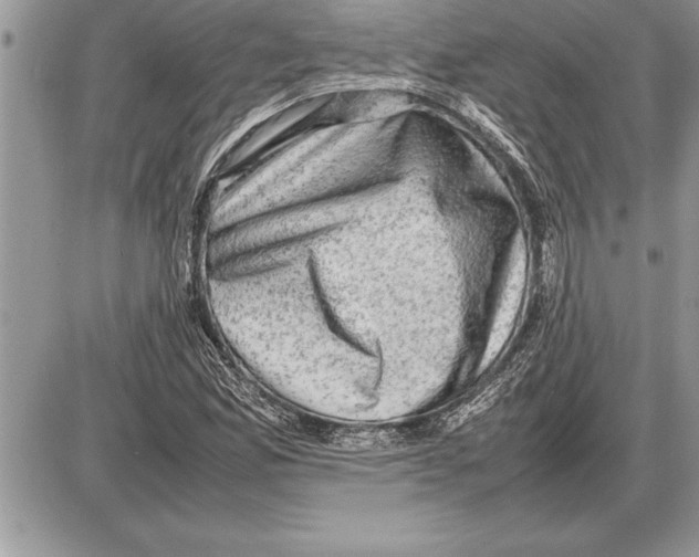 X0000085741165200704131637