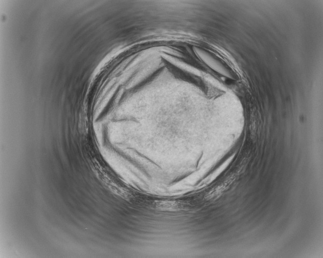 X0000085741172200704131637