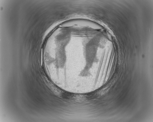 X0000085741175200704131637