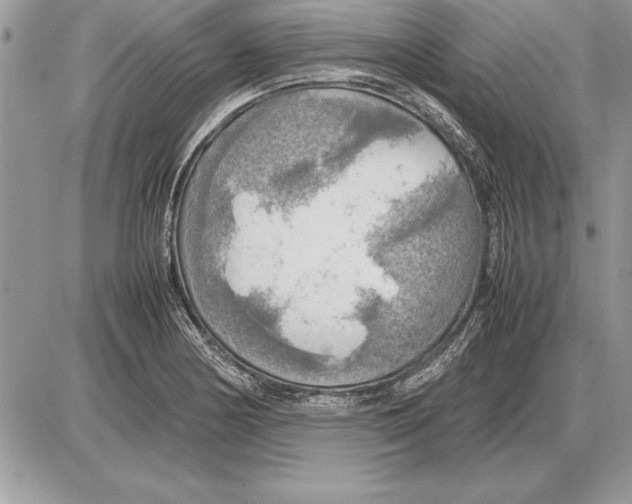 X0000085741178200704131637