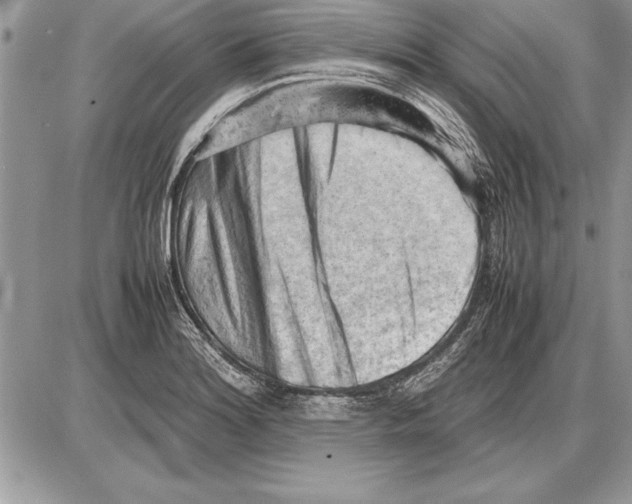 X0000085741180200704131637