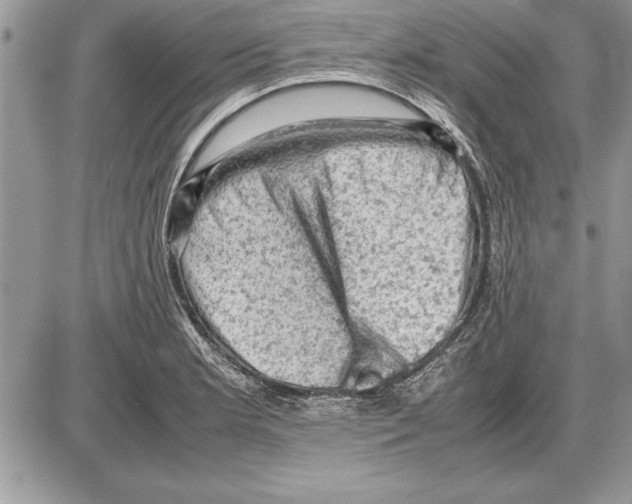 X0000085741181200704131637