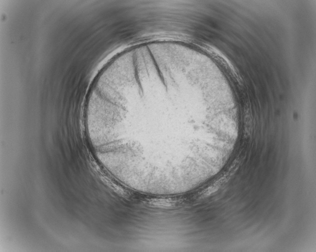 X0000085741182200704131637
