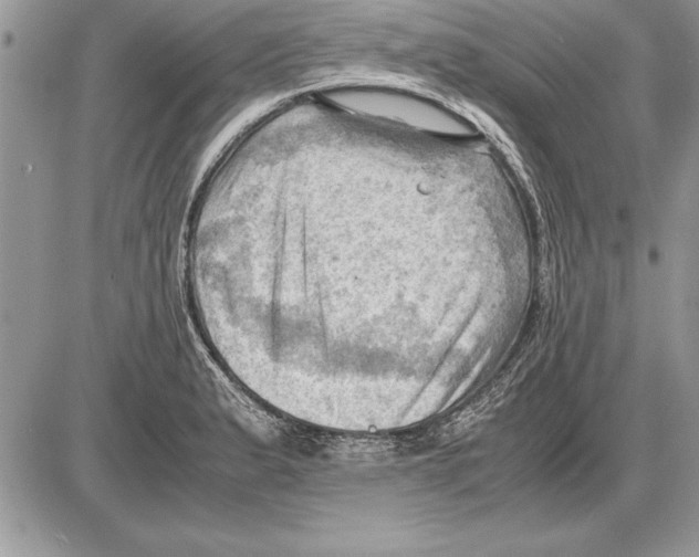 X0000085741183200704131637