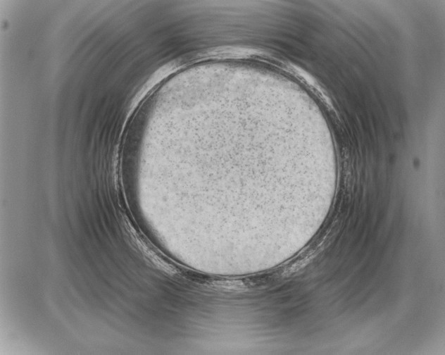 X0000085741186200704131637