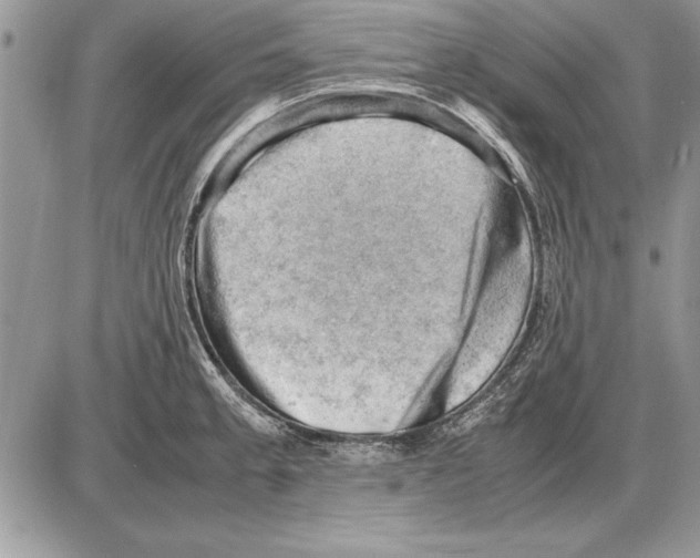 X0000085741189200704131637