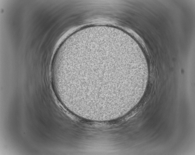 X0000085741191200704131637
