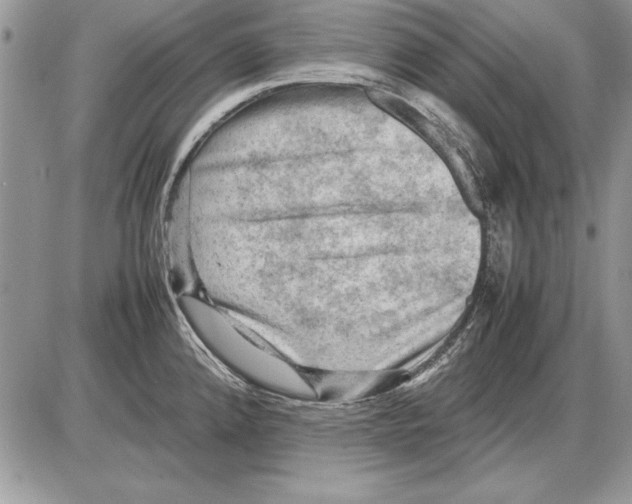 X0000085741192200704131637