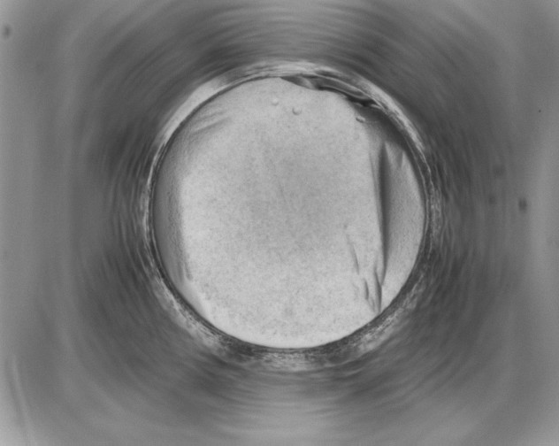 X0000085741194200704131637