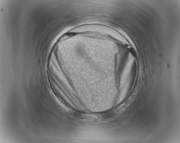 X0000085741197200704131637