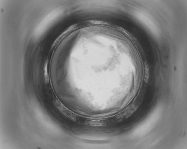 X0000085741198200704131637