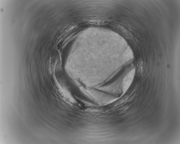 X0000085741202200704131636
