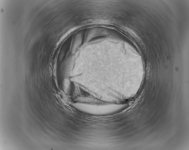 X0000085741212200704131636