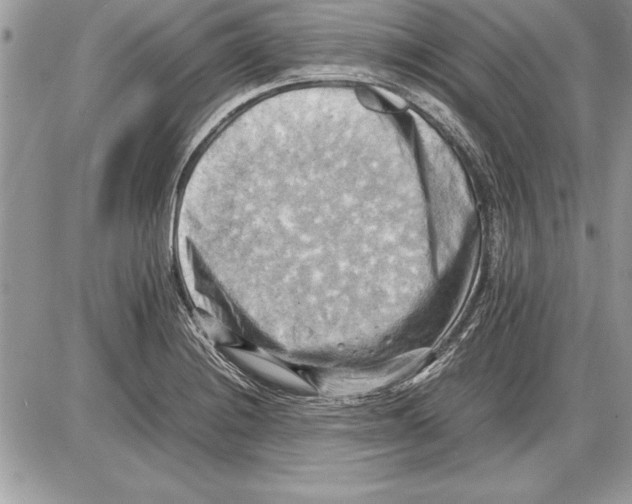 X0000085741228200704131636