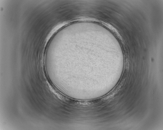 X0000085741231200704131636