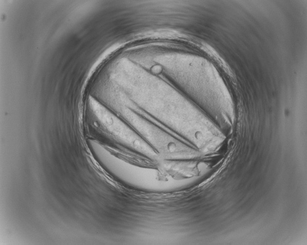 X0000085741232200704131636