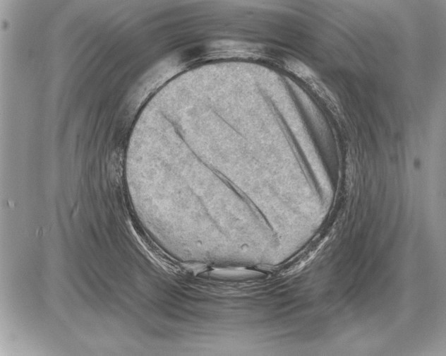 X0000085741233200704131636
