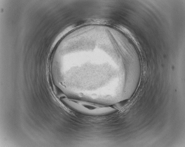 X0000085741235200704131636