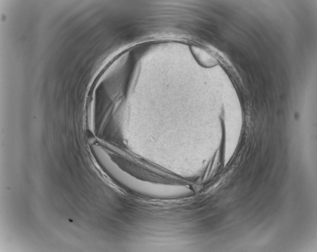 X0000085741236200704131636