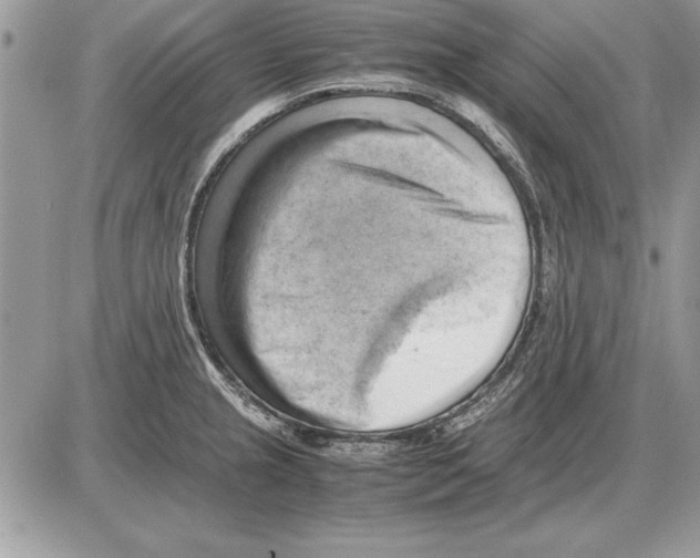 X0000085741237200704131636