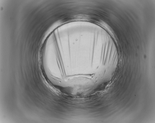 X0000085741243200704131637