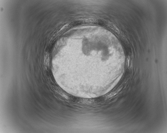 X0000085741251200704131636