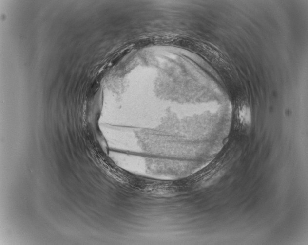 X0000085741252200704131636