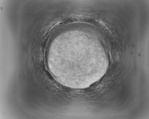 X0000085741253200704131636