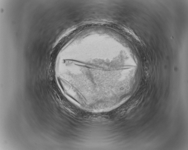 X0000085741256200704131636
