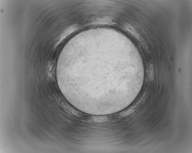 X0000085741258200704131636