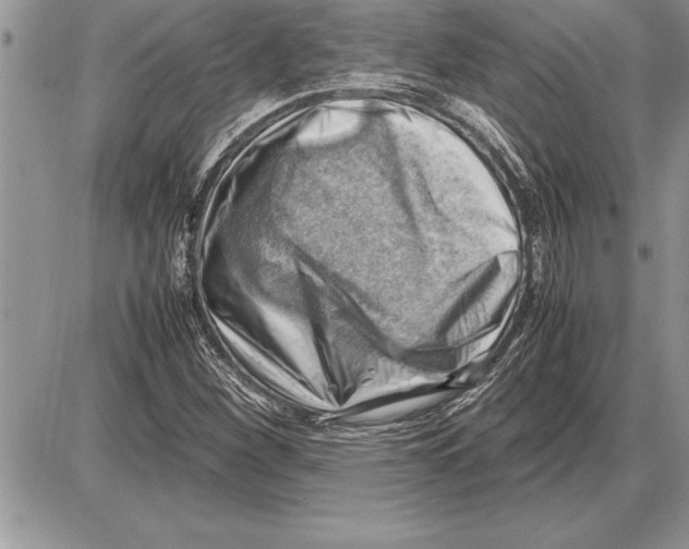 X0000085741260200704131636