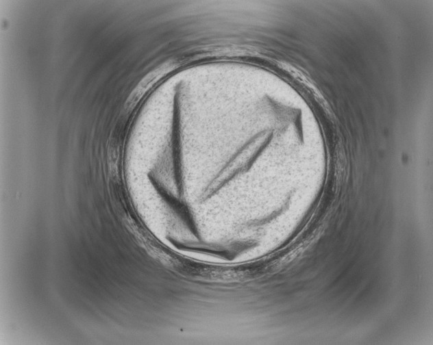 X0000085741273200704131635