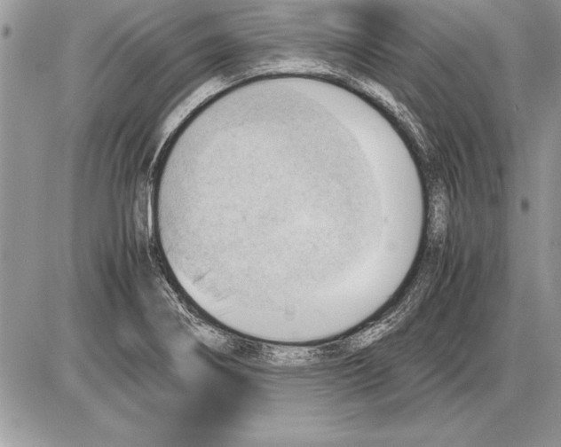 X0000085741274200704131635