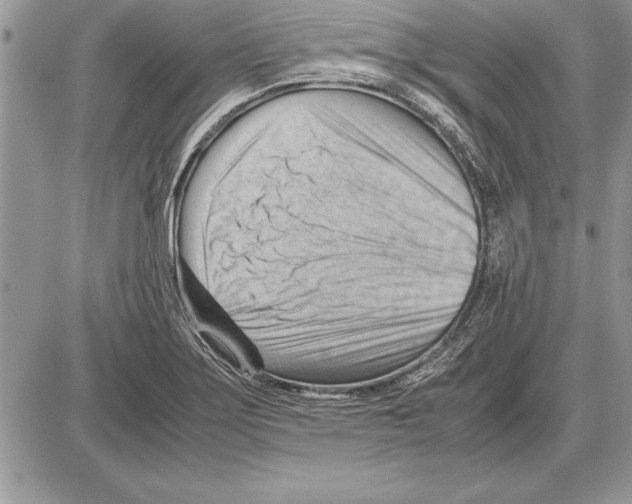 X0000085741275200704131635