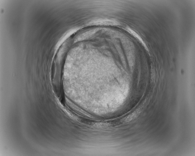 X0000085741277200704131635