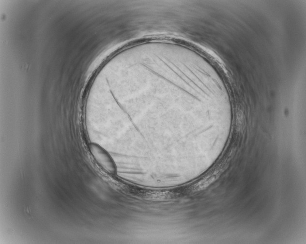 X0000085741279200704131635