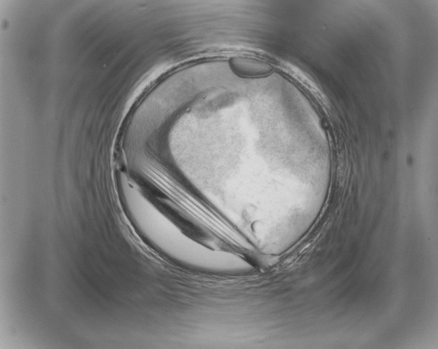 X0000085741283200704131635